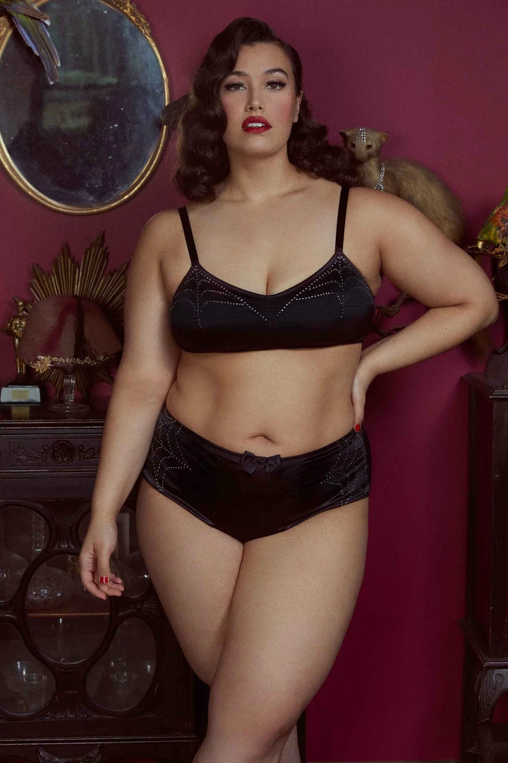 Bettie Page Lingerie Annabelle Diamante Spiderweb High Waist Brief Outlet 5 Bettie Page Lingerie Annabelle Diamante Spiderweb High Waist Brief Outlet