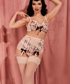 Bettie Page Lingerie Retro Bras Showgirl Z Stitch Pink High Waist Brief