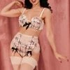Bettie Page Lingerie Retro Bras Showgirl Z Stitch Pink High Waist Brief 1 Bettie Page Lingerie Retro Bras Showgirl Z Stitch Pink High Waist Brief