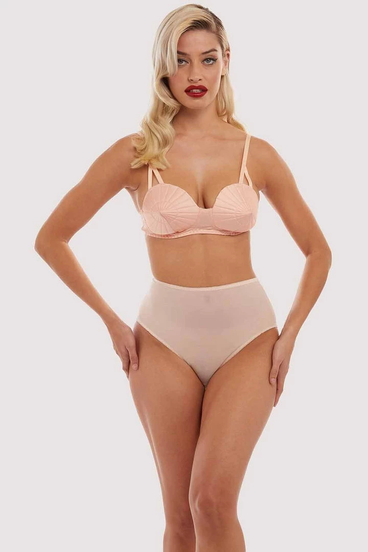 Bettie Page Lingerie Pink Mesh Classic Brief 5 Bettie Page Lingerie Pink Mesh Classic Brief