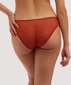 Deja Day Emma Ginger Brazilian Brief