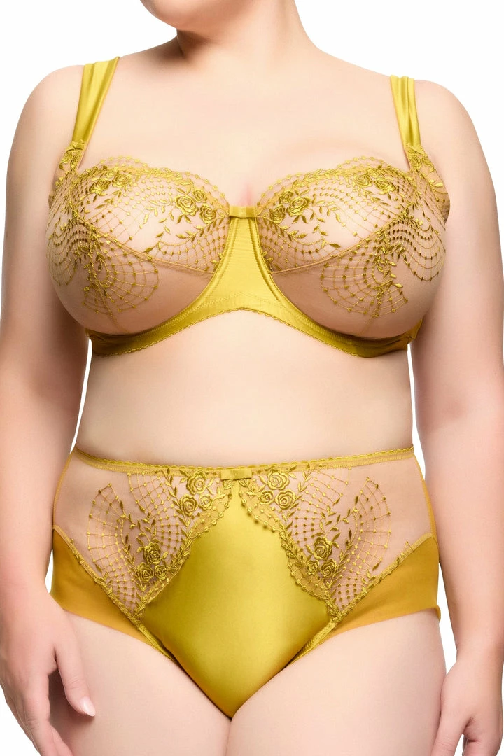 Dita Von Teese Lingerie Julies' Roses Chartreuse Underwire Curve Bra Retro Bras 4 Dita Von Teese Lingerie Julies' Roses Chartreuse Underwire Curve Bra Retro Bras