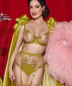 Dita Von Teese Lingerie Julies' Roses Chartreuse Brief 7 Dita Von Teese Lingerie Julies' Roses Chartreuse Brief