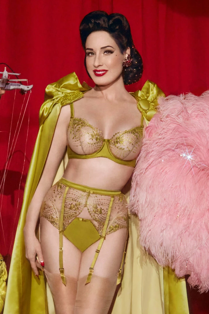 Dita Von Teese Lingerie Julies' Roses Chartreuse Brief 5 Dita Von Teese Lingerie Julies' Roses Chartreuse Brief