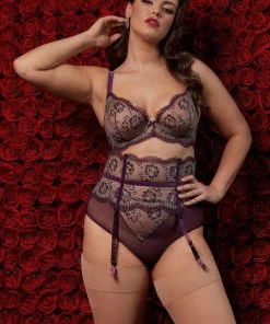 Dita Von Teese Lingerie Outlet Evelina Aubergine Curve Brief 11 Dita Von Teese Lingerie Outlet Evelina Aubergine Curve Brief