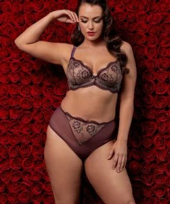 Dita Von Teese Lingerie Outlet Evelina Aubergine Curve Brief