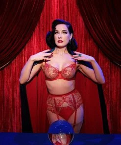 Dita Von Teese Lingerie Julie's Roses Red Bikini Briefs