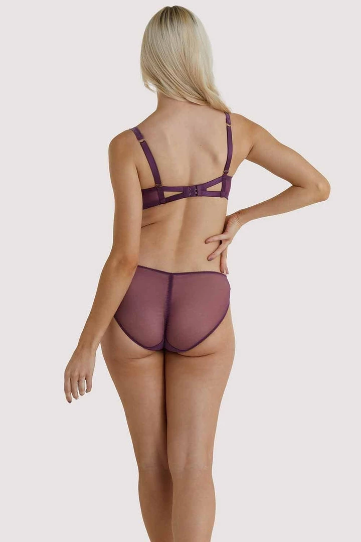 Dita Von Teese Lingerie Lurex Amythest Brief Outlet 6 Dita Von Teese Lingerie Lurex Amythest Brief Outlet