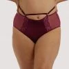 Dita Von Teese Lingerie Madame X Dark Cherry High Waist Curve Brief Retro Bras