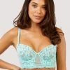 Felicity Hayward X PP Vega Aqua Lace And Frill Longline Bra DD+ Bras