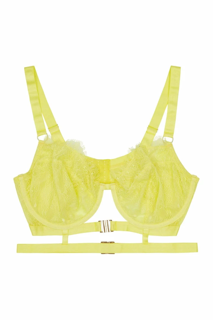 Playful Promises Curve Exclusive Outlet Devon Lime Lace Bra 4 Playful Promises Curve Exclusive Outlet Devon Lime Lace Bra