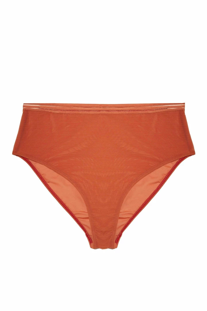 Playful Promises Curve Exclusive Chelsea Cinnamon Mesh Highwaist Brief 9 Playful Promises Curve Exclusive Chelsea Cinnamon Mesh Highwaist Brief