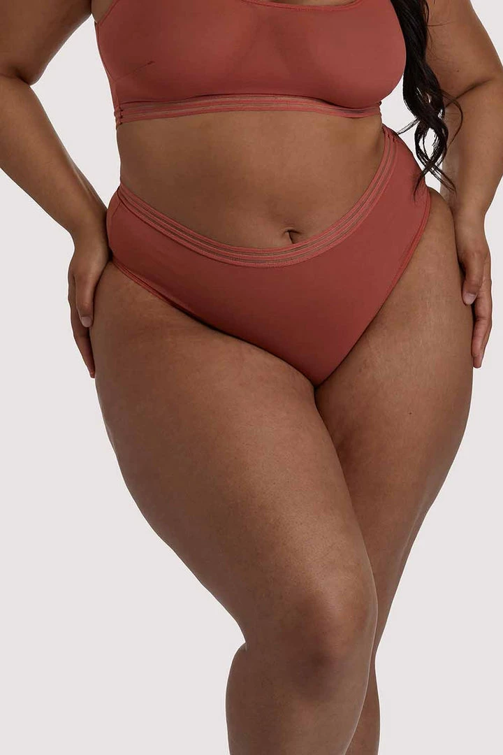 Playful Promises Curve Exclusive Chelsea Cinnamon Mesh Highwaist Brief 3 Playful Promises Curve Exclusive Chelsea Cinnamon Mesh Highwaist Brief