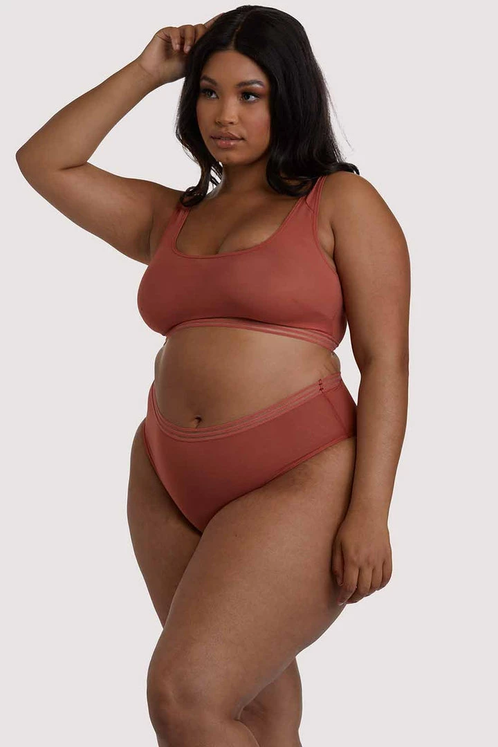Playful Promises Curve Exclusive Chelsea Cinnamon Mesh Highwaist Brief 8 Playful Promises Curve Exclusive Chelsea Cinnamon Mesh Highwaist Brief