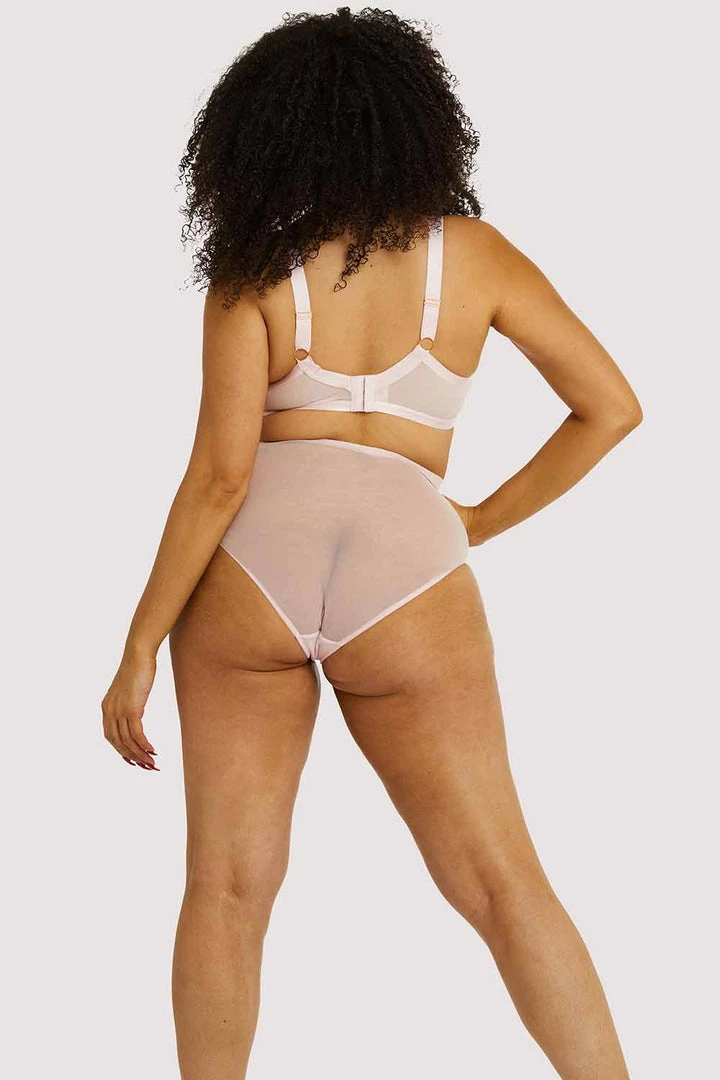 Playful Promises Curve Exclusive Marina Pink High Waisted Mesh Brief Outlet 5 Playful Promises Curve Exclusive Marina Pink High Waisted Mesh Brief Outlet