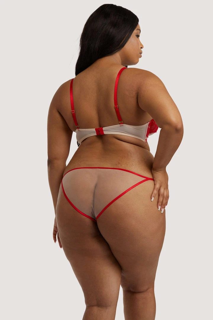 Hustler Hustler Lingerie Mya Red Lace Brief 11 Hustler Hustler Lingerie Mya Red Lace Brief
