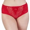 Outlet Peek & Beau Toyen Red Mesh & Lace HW Corset Brief 1 Outlet Peek & Beau Toyen Red Mesh & Lace HW Corset Brief