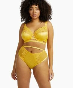 Playful Promises Vivienne Mustard Net Satin And Lace Trim Bra