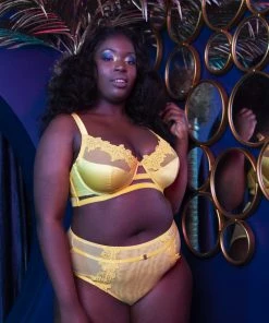 Playful Promises Vivienne Mustard Net Satin And Lace Trim Bra