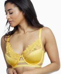 Playful Promises Vivienne Mustard Net Satin And Lace Trim Bra