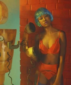 Playful Promises Zoya Fishnet And Lace Plunge Bra Outlet