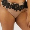Playful Promises Curve Exclusive Alaina Illusion Mesh And Black Applique Brief