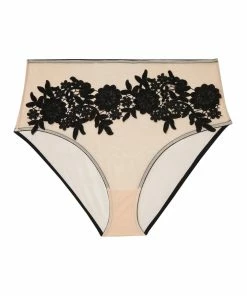 Playful Promises Curve Exclusive Alaina Illusion Mesh And Black Applique Brief