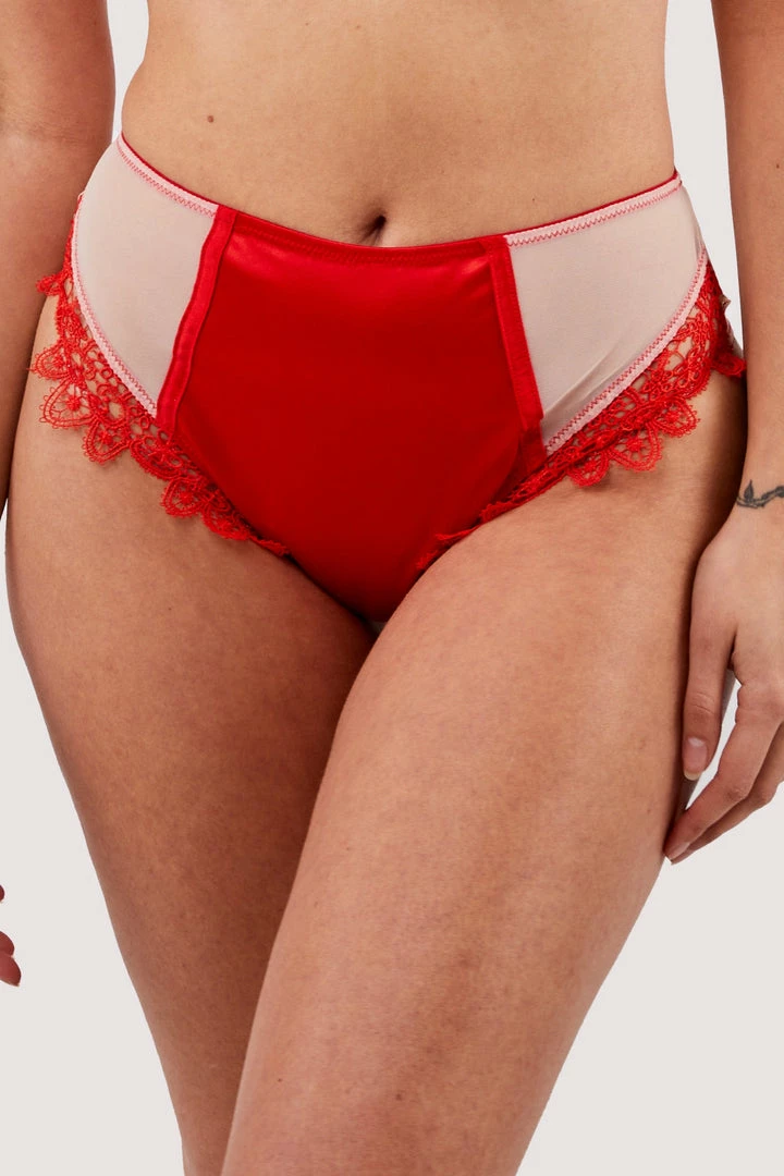 Playful Promises Anaise Red Highwaist Brief 3 Playful Promises Anaise Red Highwaist Brief