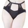Playful Promises Effie Black Satin And Mesh Applique Brief Outlet