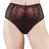 Playful Promises Outlet Irena Rust Satin & Lace High Waist Brief