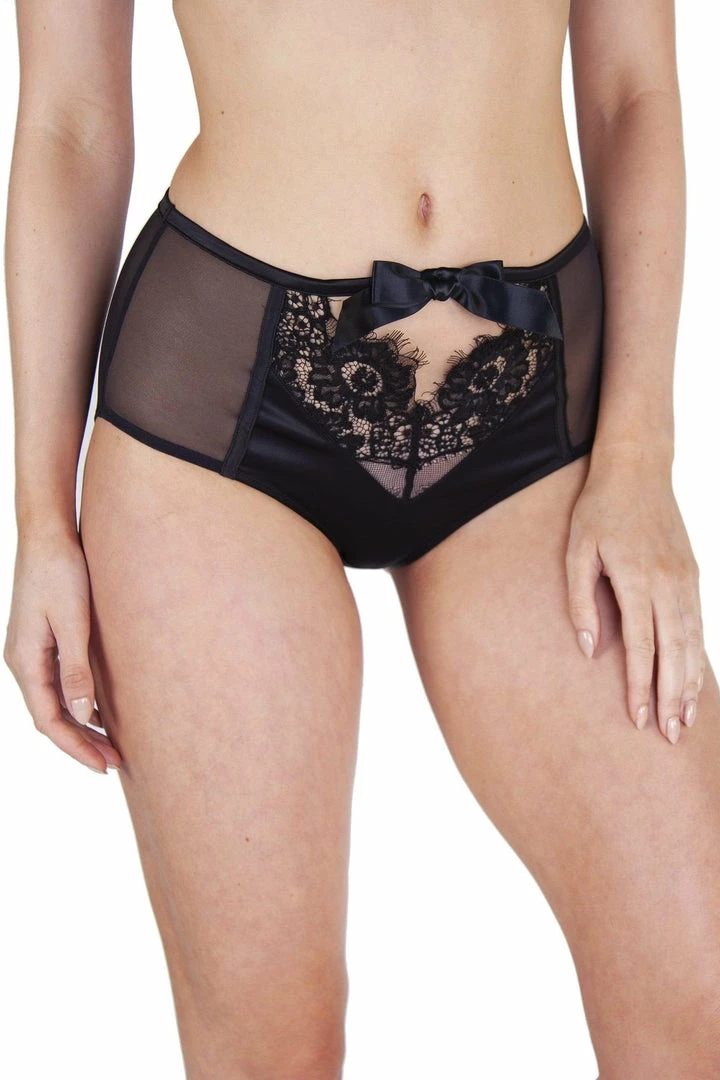 Playful Promises Josephine Corded Lace HW Brief 3 Playful Promises Josephine Corded Lace HW Brief