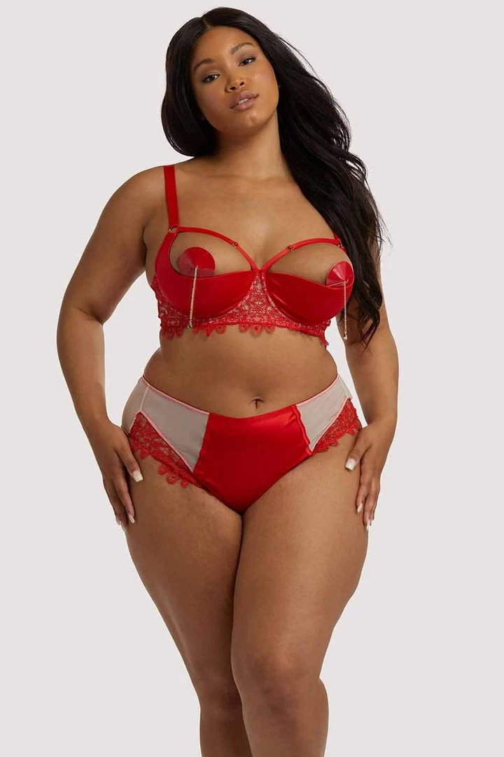 Playful Promises Anaise Red Highwaist Brief 12 Playful Promises Anaise Red Highwaist Brief