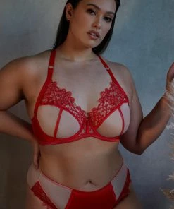 Playful Promises Anaise Red Highwaist Brief 19 Playful Promises Anaise Red Highwaist Brief