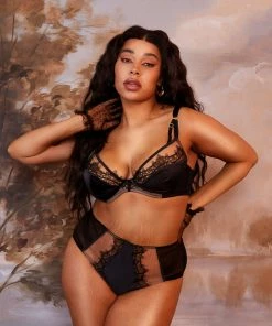 Playful Promises Wren Black Illusion Mesh And Satin High Waist Brief Luxe Bras 22 Playful Promises Wren Black Illusion Mesh And Satin High Waist Brief Luxe Bras