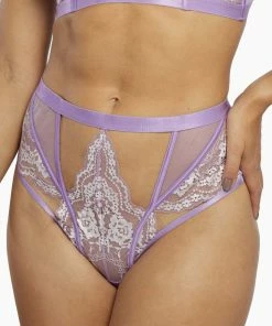 Playful Promises Fenella Lace And Net High Waist Brief Outlet