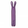 Je Joue Rabbit Bullet Clitoral Vibrator Purple Intimate Play