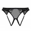 Playful Promises Black Lace And Mesh Ouvert Brief