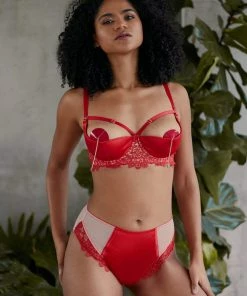 Playful Promises Anaise Red Highwaist Brief 18 Playful Promises Anaise Red Highwaist Brief