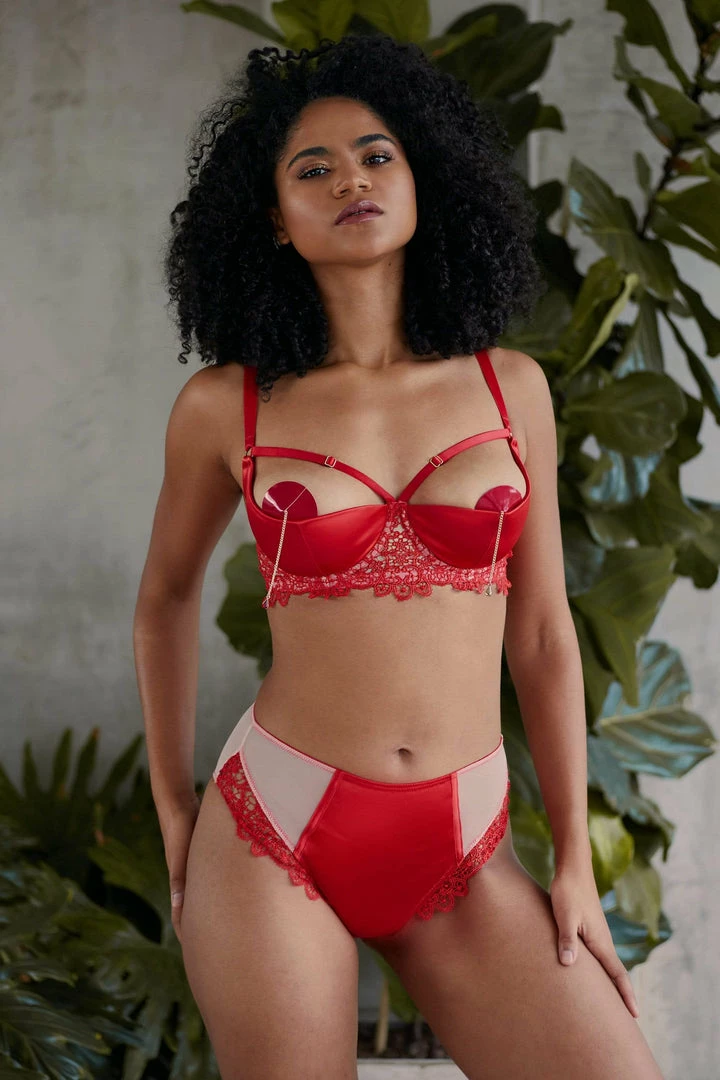 Playful Promises Anaise Red Highwaist Brief 6 Playful Promises Anaise Red Highwaist Brief