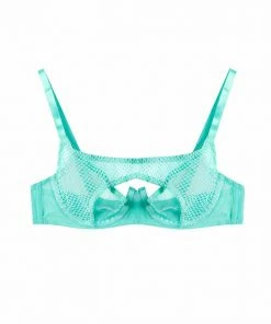 Regalia Greta Mint Fishnet Overbust Wired Bra Erotic