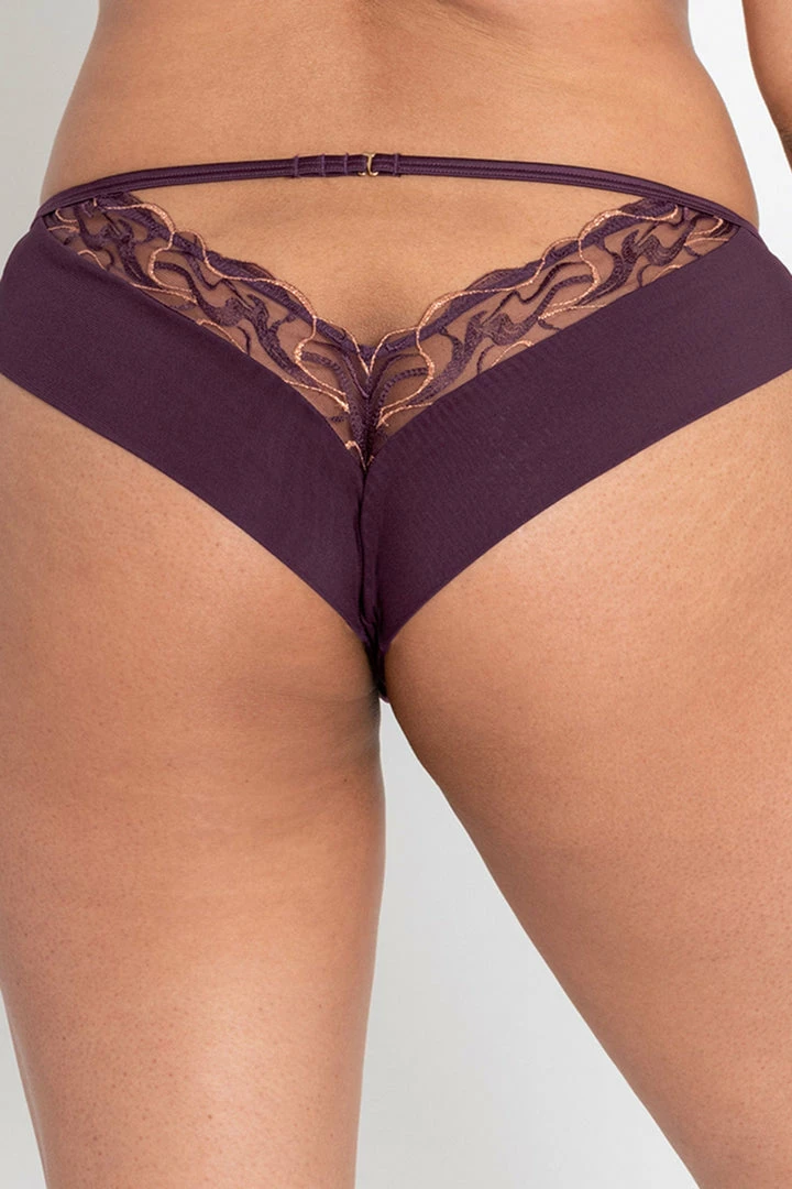 Scantilly Fascinate Plum Brazilian 4 Scantilly Fascinate Plum Brazilian