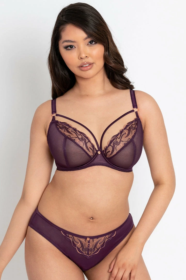 Scantilly Fascinate Plum Brazilian 6 Scantilly Fascinate Plum Brazilian