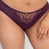 Scantilly Fascinate Plum Brazilian