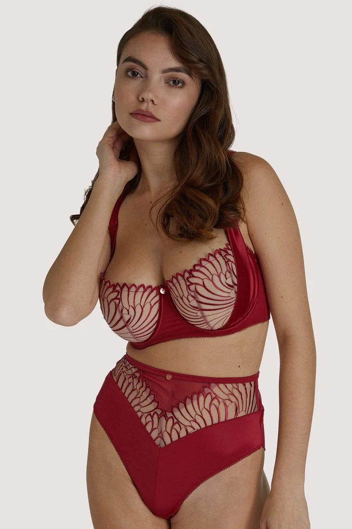 Scantilly By Curvy Kate Scantilly Fallen Angel Red High Waist Brief Outlet 6 Scantilly By Curvy Kate Scantilly Fallen Angel Red High Waist Brief Outlet