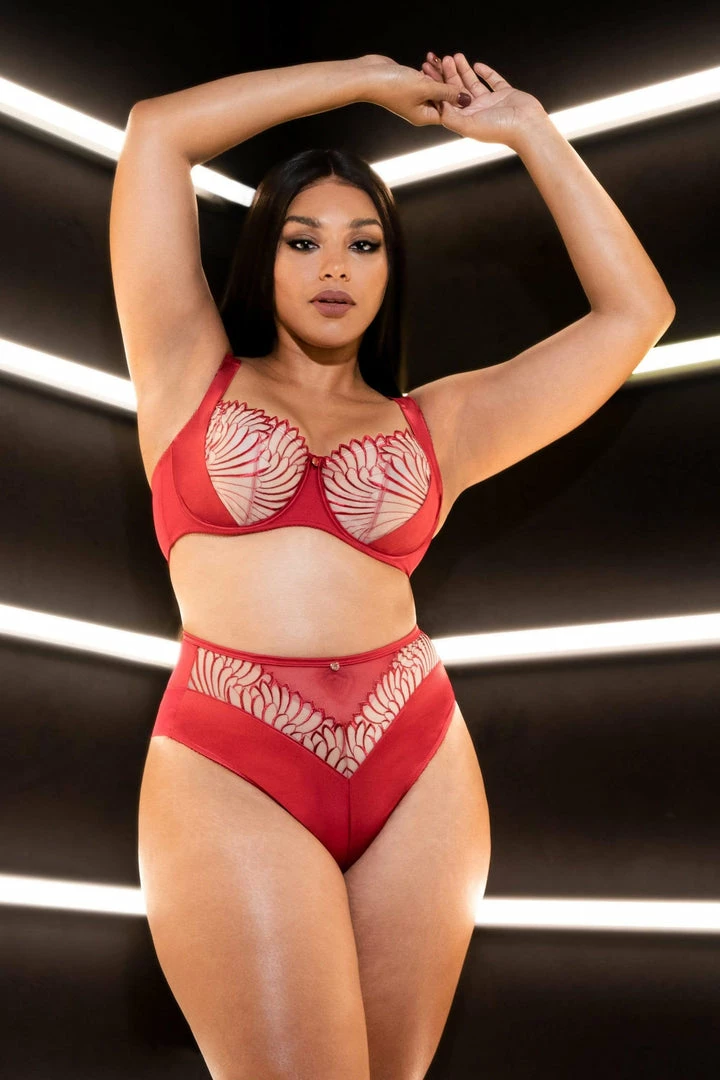Scantilly By Curvy Kate Scantilly Fallen Angel Red High Waist Brief Outlet 10 Scantilly By Curvy Kate Scantilly Fallen Angel Red High Waist Brief Outlet
