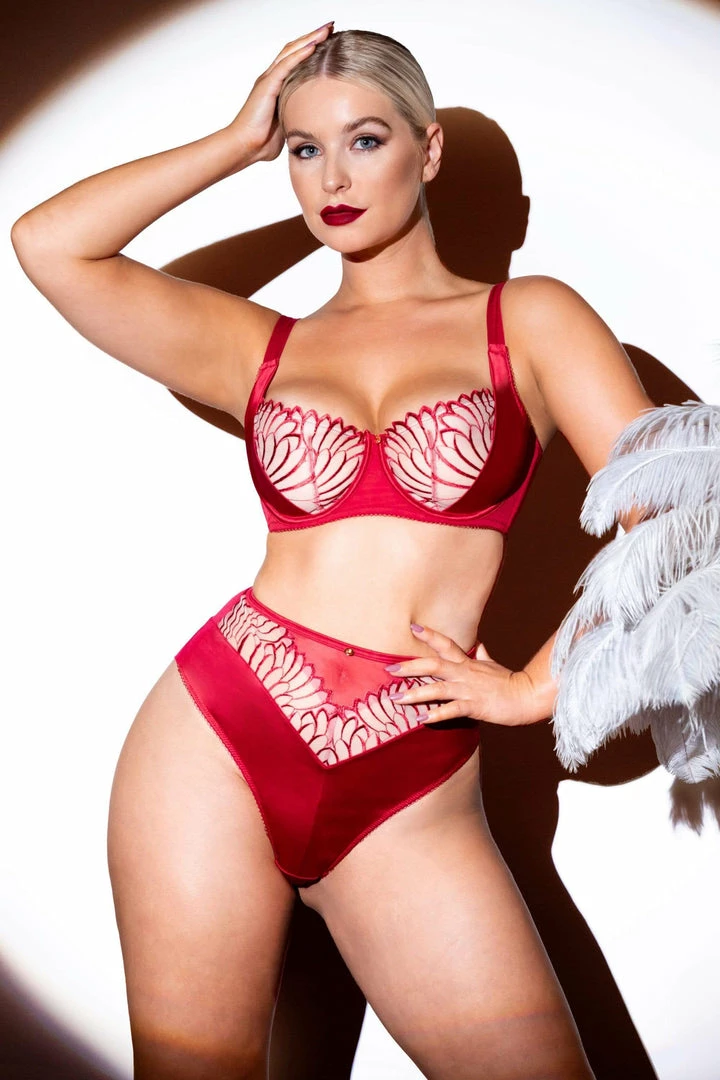 Scantilly By Curvy Kate Scantilly Fallen Angel Red High Waist Brief Outlet 9 Scantilly By Curvy Kate Scantilly Fallen Angel Red High Waist Brief Outlet
