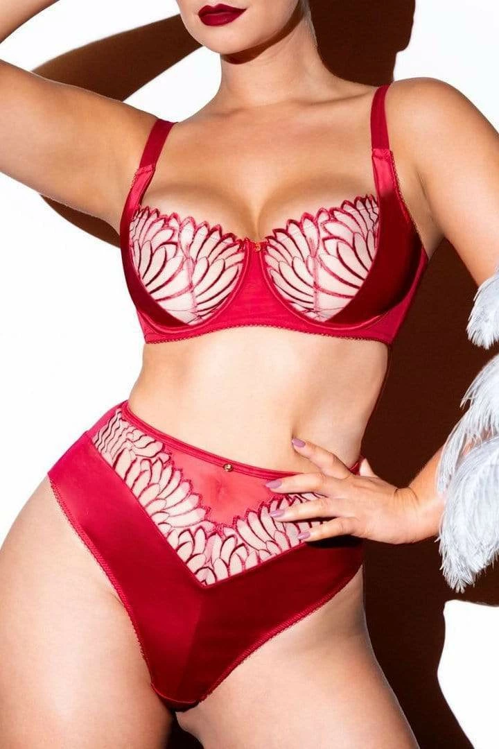 Scantilly By Curvy Kate Scantilly Fallen Angel Red High Waist Brief Outlet 4 Scantilly By Curvy Kate Scantilly Fallen Angel Red High Waist Brief Outlet