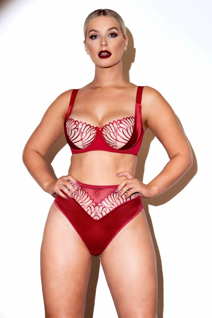 Scantilly By Curvy Kate Scantilly Fallen Angel Red High Waist Brief Outlet 8 Scantilly By Curvy Kate Scantilly Fallen Angel Red High Waist Brief Outlet