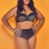 Wolf & Whistle Swimwear Cyra Fishnet Panel Bikini Brief Curve